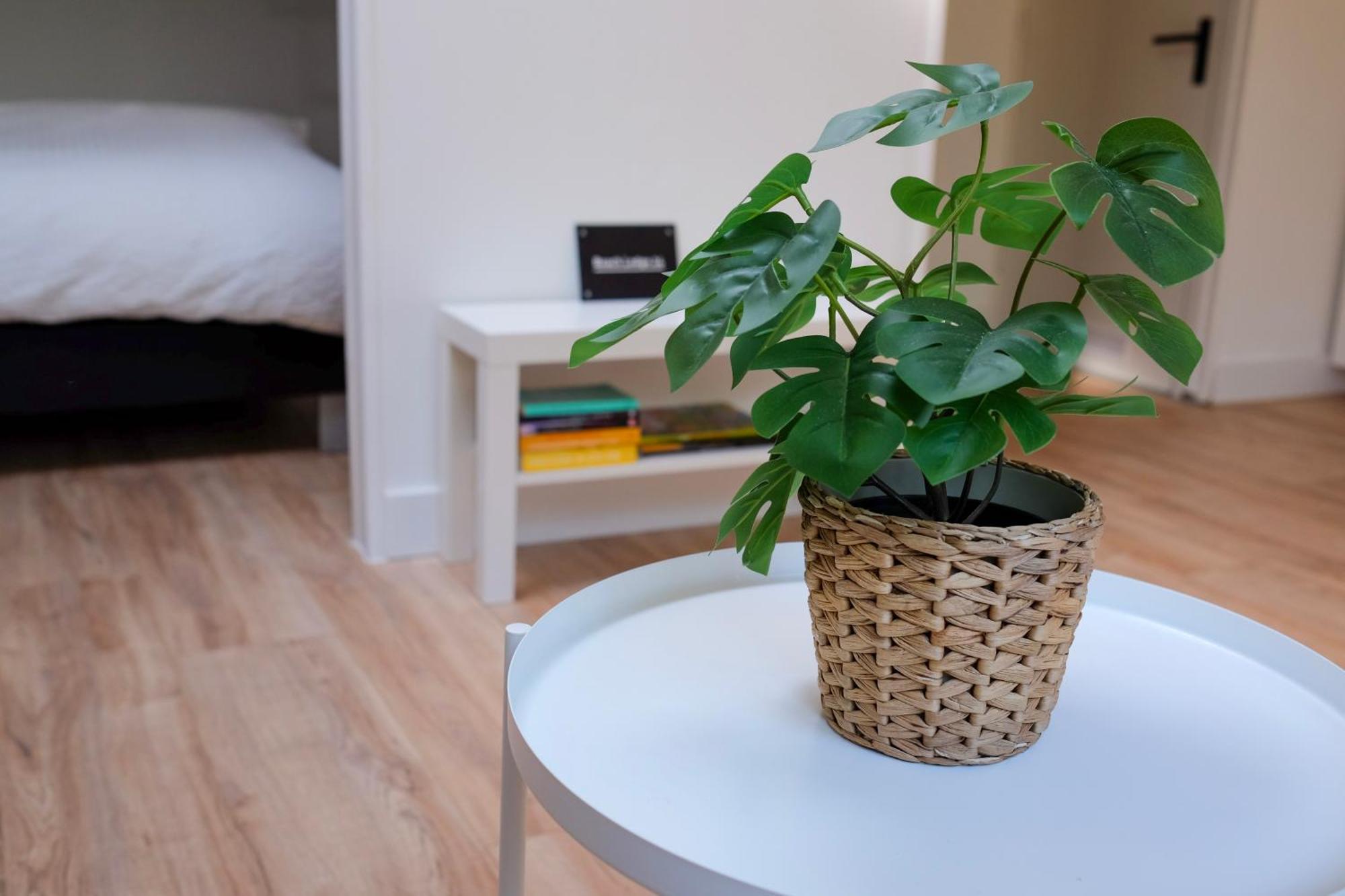 Beach Lodge 24 - Noordwijk Aan Zee - Met Eigen Tuin Bagian luar foto